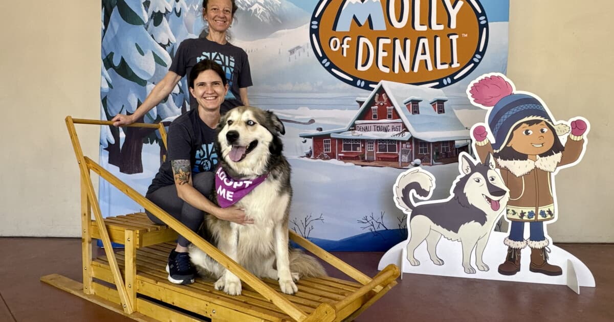 Visitors and a dog at a Molly of Denali exhibit display