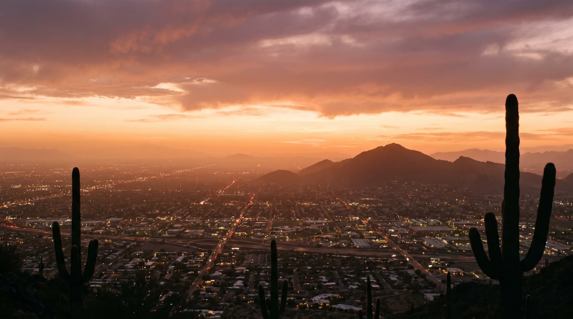 The Phoenix Valley at golden hour, saguaros and mountains in warm light